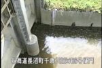 千歳川 南6号排水機場樋門2のライブカメラ|北海道長沼町のサムネイル