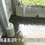 千歳川 南6号排水機場樋門2のライブカメラ|北海道長沼町のサムネイル