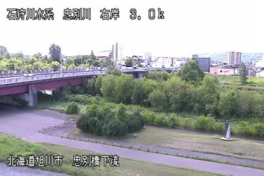 忠別川 忠別橋下流のライブカメラ|北海道旭川市のサムネイル