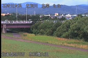 忠別川 忠別橋上流のライブカメラ|北海道旭川市のサムネイル