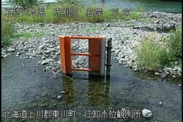 忠別川 江卸のライブカメラ|北海道東川町