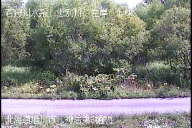 忠別川 神居第3樋門のライブカメラ|北海道旭川市のサムネイル