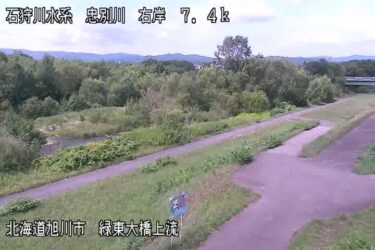 忠別川 緑東大橋上流のライブカメラ|北海道旭川市のサムネイル