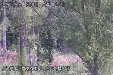 忠別川 志比内橋のライブカメラ|北海道東神楽町
