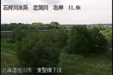忠別川 東聖橋下流のライブカメラ|北海道旭川市