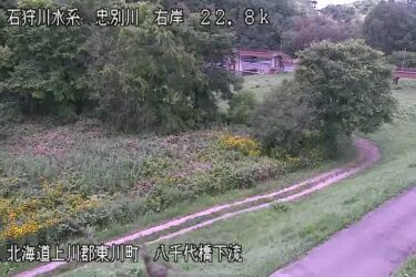 忠別川 八千代橋のライブカメラ|北海道東川町