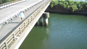 大分県大分市 原川・今堤川 日岡橋のライブカメラ