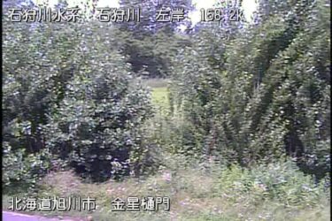 石狩川 金星樋門のライブカメラ|北海道旭川市