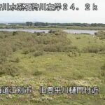 石狩川 旧豊平川樋門付近のライブカメラ|北海道江別市のサムネイル