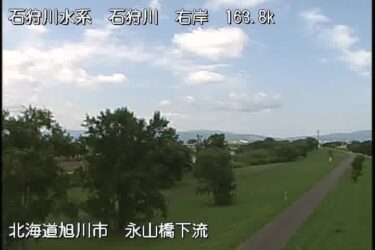 石狩川 永山橋下流右岸のライブカメラ|北海道旭川市のサムネイル