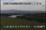 石狩川 拓殖樋門のライブカメラ|北海道妹背牛町のサムネイル