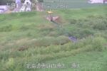 漁川 漁太のライブカメラ|北海道恵庭市のサムネイル