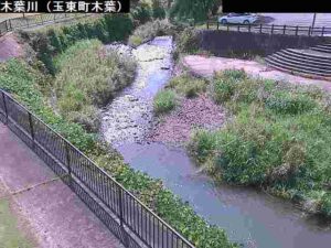 熊本県玉東町 木葉川 木葉のライブカメラ