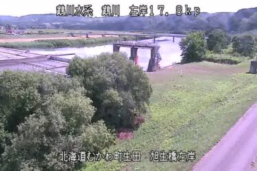 鵡川 旭生橋左岸のライブカメラ|北海道むかわ町