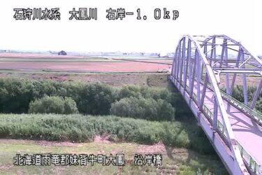 大鳳川 沿岸橋のライブカメラ|北海道妹背牛町