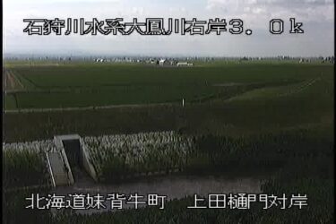 大鳳川 上田樋門対岸のライブカメラ|北海道妹背牛町