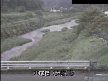 大野川 中尾橋のライブカメラ|大分県竹田市