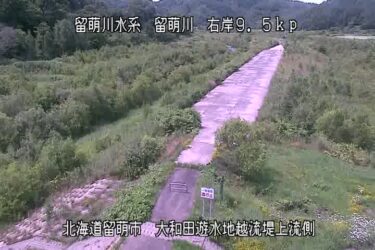 留萌川 大和田遊水地越流堤のライブカメラ|北海道留萌市