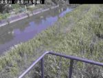 流藻川 五号橋のライブカメラ|熊本県八代市のサムネイル