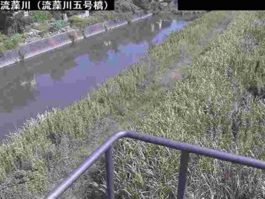 流藻川 五号橋のライブカメラ|熊本県八代市