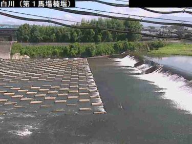 白川 第１馬場楠堰のライブカメラ|熊本県菊陽町のサムネイル