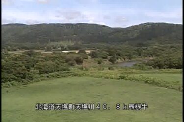 天塩川 辰根牛観測所のライブカメラ|北海道天塩町
