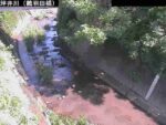 坪井川 鶴羽田橋のライブカメラ|熊本県熊本市のサムネイル
