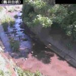 坪井川 鶴羽田橋のライブカメラ|熊本県熊本市のサムネイル