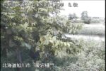 牛朱別川 愛宕樋門のライブカメラ|北海道旭川市のサムネイル