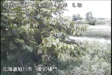 牛朱別川 愛宕樋門のライブカメラ|北海道旭川市