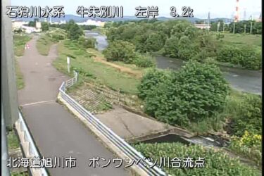 牛朱別川 ポンウシベツ川合流点のライブカメラ|北海道旭川市のサムネイル