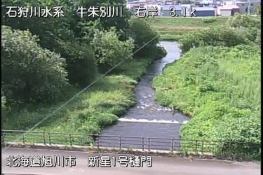 牛朱別川 新星1号樋門のライブカメラ|北海道旭川市のサムネイル