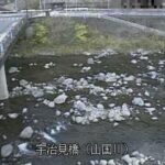 山国川 宇治見橋のライブカメラ|大分県中津市のサムネイル