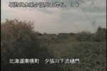 夕張川 夕張川下流樋門のライブカメラ|北海道南幌町のサムネイル