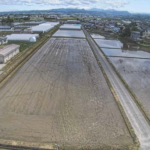 第一・第二田んぼアートのライブカメラ|青森県田舎館村のサムネイル