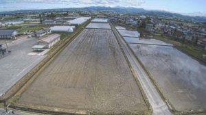 青森県田舎館村 第一・第二田んぼアートのライブカメラ
