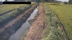 埼玉県桶川市 江川 桶川市川田谷観測局のライブカメラ