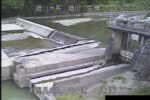 姫川 小滝水位観測所水位標のライブカメラ|新潟県糸魚川市のサムネイル
