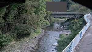 埼玉県飯能市 入間川 石原橋観測局のライブカメラ