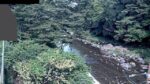 入間川 岩根橋観測局のライブカメラ|埼玉県飯能市のサムネイル