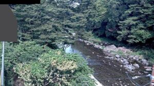 埼玉県飯能市 入間川 岩根橋観測局のライブカメラ