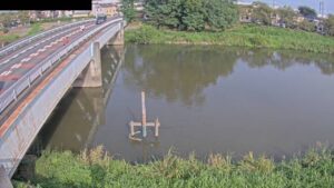 埼玉県蓮田市 元荒川 蓮田観測局のライブカメラ