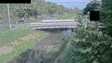 元小山川 湧泉橋観測局のライブカメラ|埼玉県本庄市