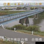 中ノ口川 白根橋のライブカメラ|新潟県新潟市のサムネイル