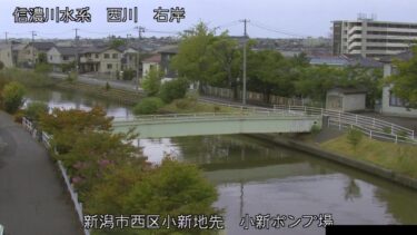 西川 小新ポンプ場のライブカメラ|新潟県新潟市