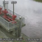 西川 小新排水機場のライブカメラ|新潟県新潟市のサムネイル