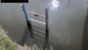 埼玉県三郷市 大場川 市助観測局のライブカメラ