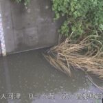 大河津分水路 敦ヶ曽根樋管周辺のライブカメラ|新潟県燕市のサムネイル