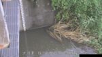 大河津分水路 敦ヶ曽根樋管周辺のライブカメラ|新潟県燕市のサムネイル