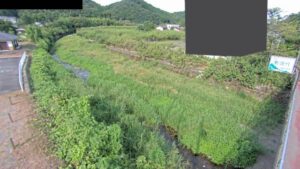 埼玉県越生町 越辺川 梅園橋観測局のライブカメラ